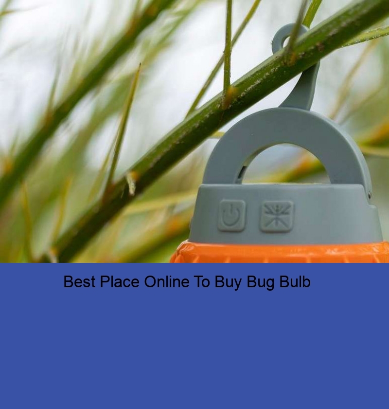 Best Place Online To Buy Bug Bulb