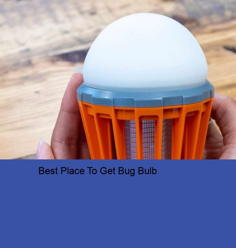 Best Place To Get Bug Bulb