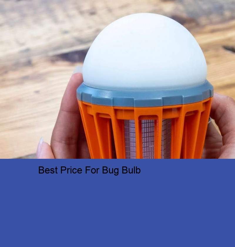 Best Price For Bug Bulb