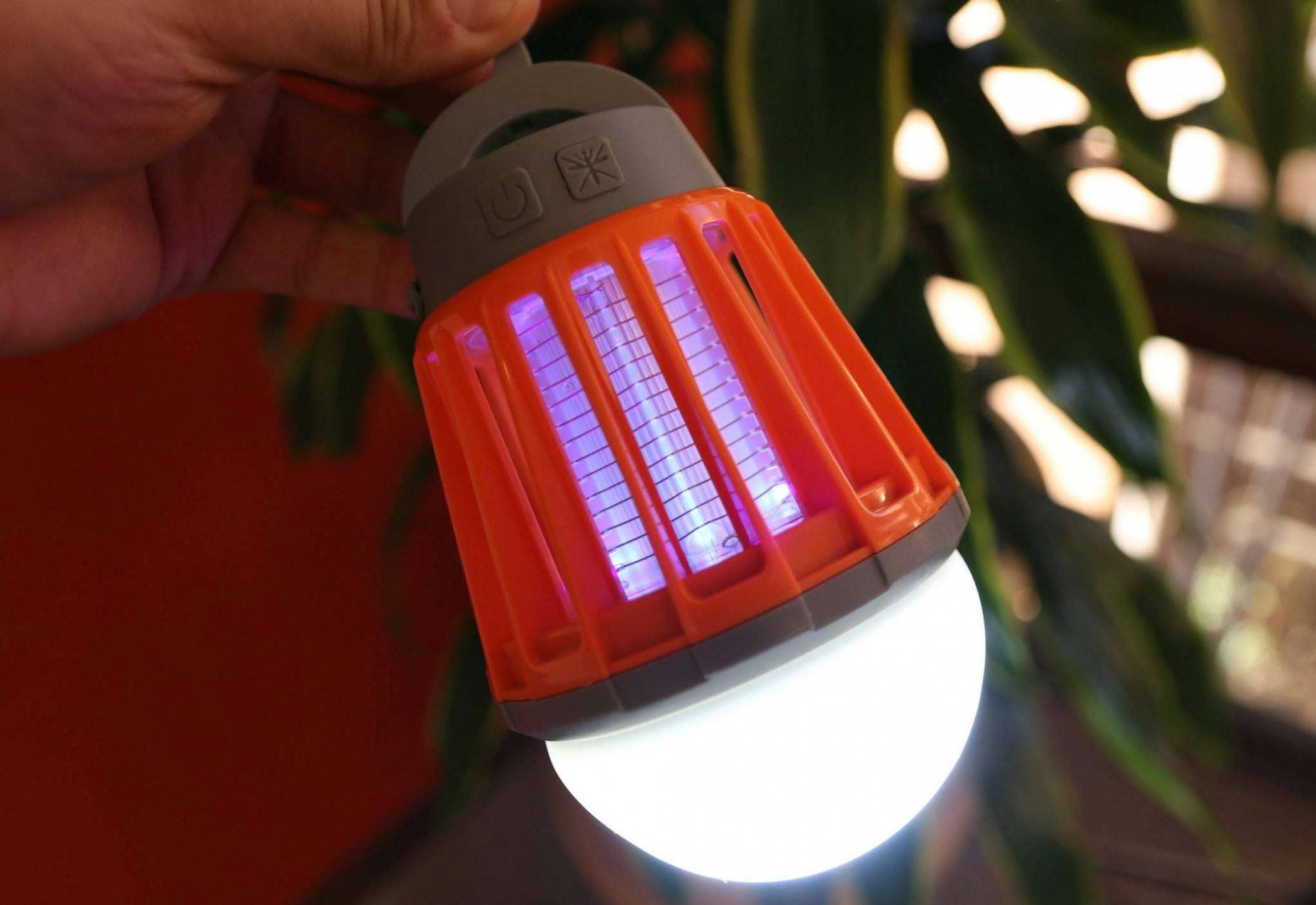 Inexpensive Bug Bulb