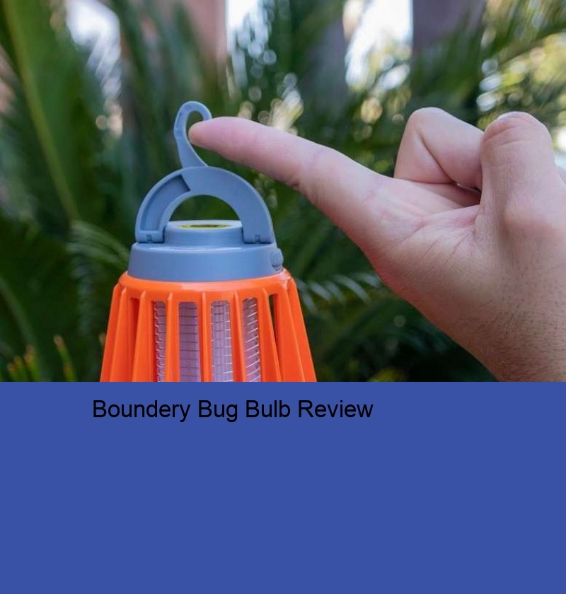 Boundery Bug Bulb Review