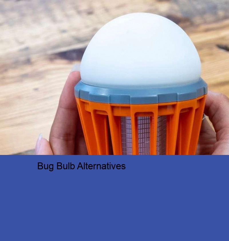 Bug Bulb Alternatives