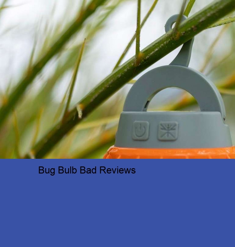 Bug Bulb Bad Reviews