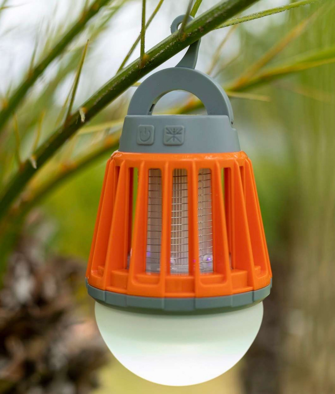 Bug Bulb Free Shipping