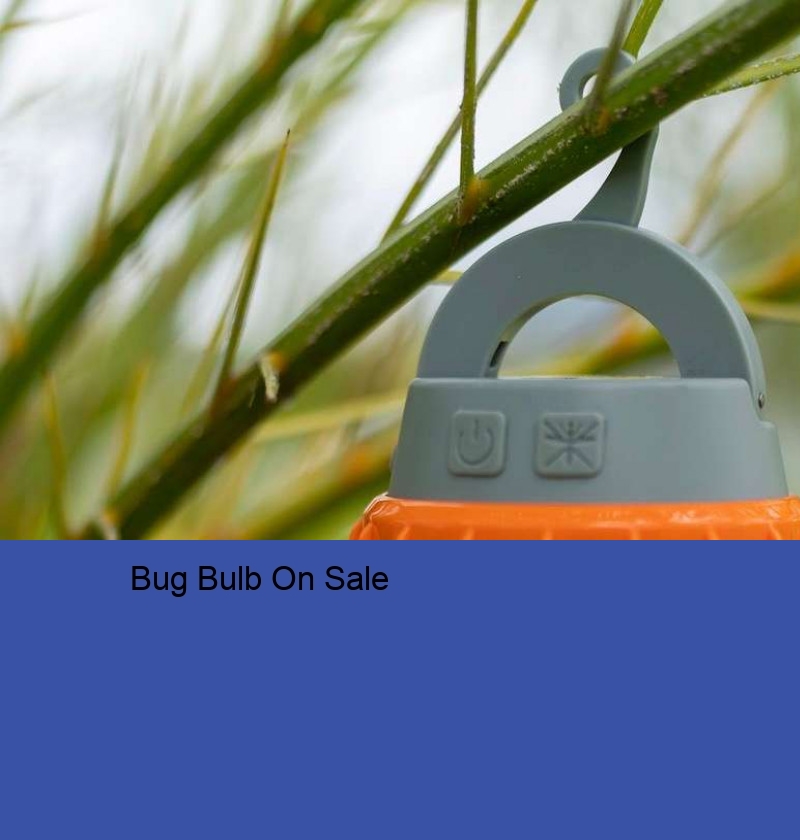 Bug Bulb On Sale