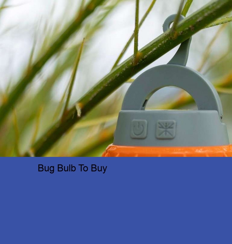 Bug Bulb To Buy