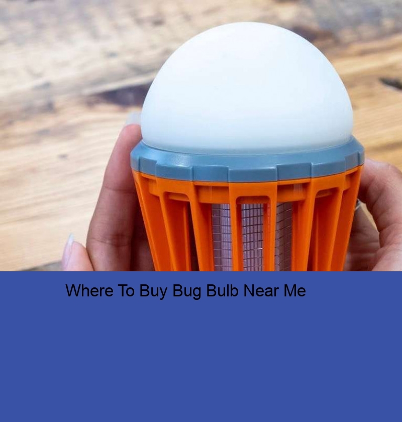 Where To Buy Bug Bulb Near Me